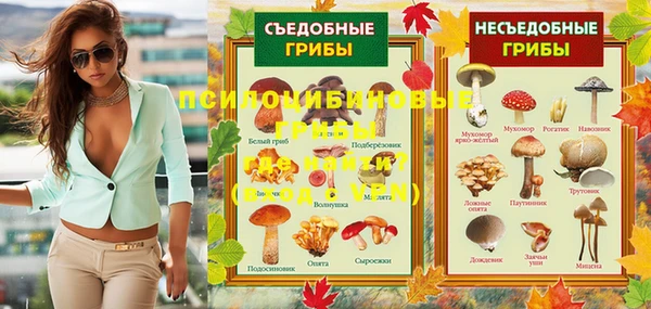 2c-b Белокуриха