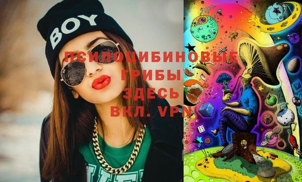 2c-b Белокуриха